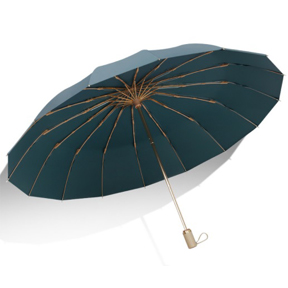 Folding Umbrella 1