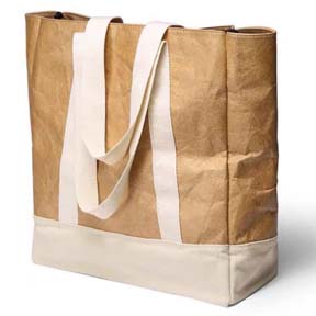 Shopping Bag