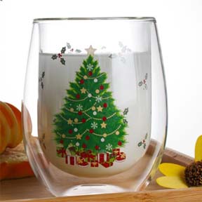 Double Wall Glass Cup