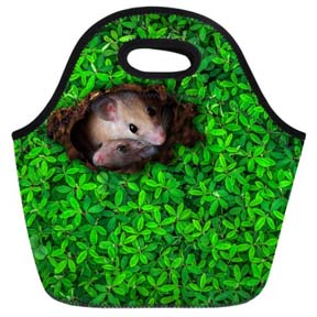 Lunch Bag 2